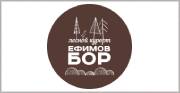 Лесной Курорт «Ефимов Бор»