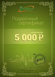 Подарочный сертификат на 5000 рублей