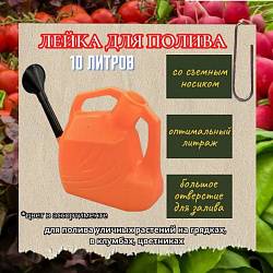 Лейка Гардения 10л пластмассовая (со съемным носиком)