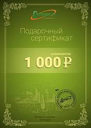 Подарочный сертификат на 1000 рублей