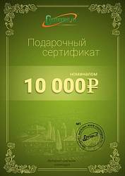 Подарочный сертификат на 10 000 рублей